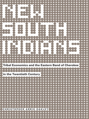 cover image of New South Indians